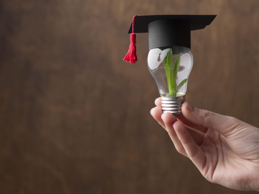 Creciendo con el Conocimiento: Etapas de Aprendizaje